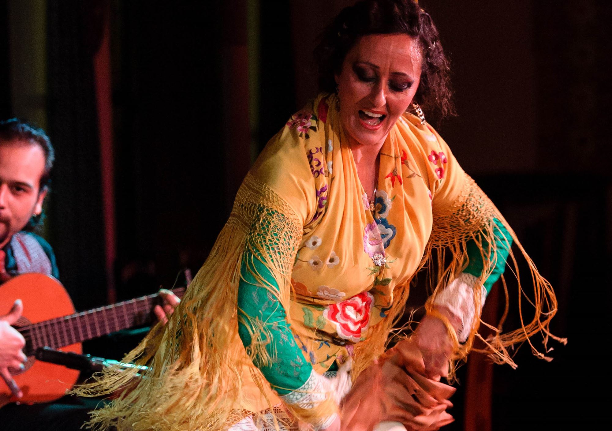 buchung Flamenco show in Granada